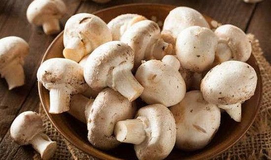 蘑菇可不可以和茄子一起吃?