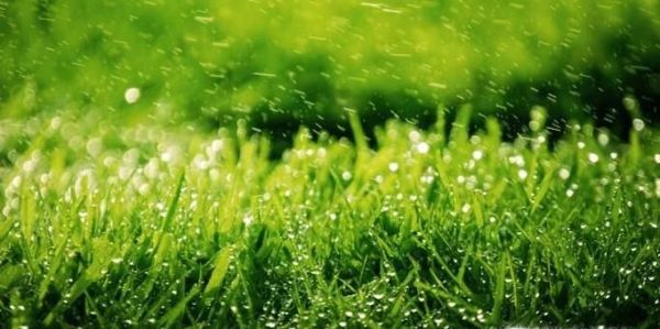 怎样快速摆脱内心的阴霾