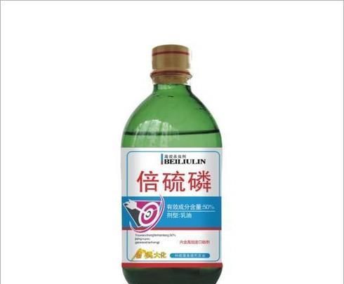 杀臭虫用什么药好？