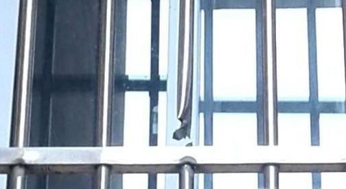 怎样防止到了冬天水管冻住？