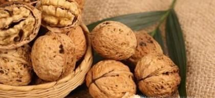 怎样挑选把玩的核桃