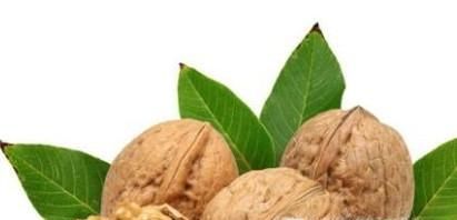 怎样挑选把玩的核桃