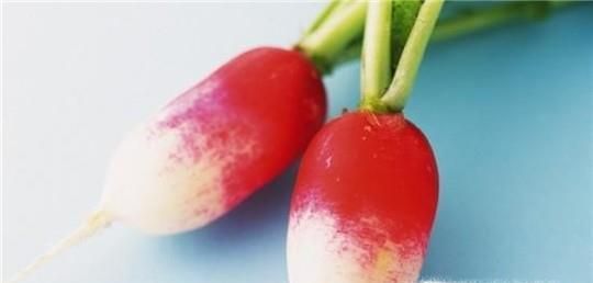 哪些东西可以醒酒