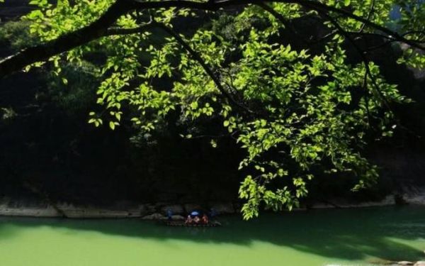 如何活出诗意的人生？