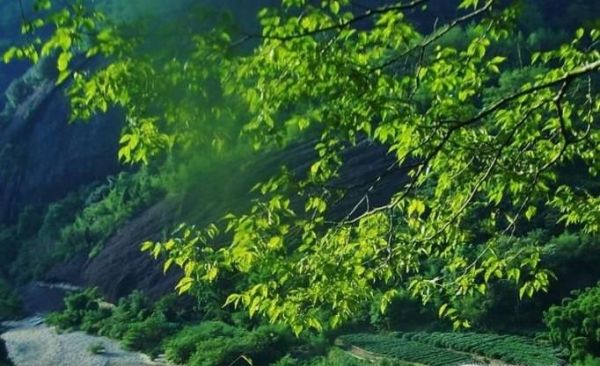 如何活出诗意的人生？