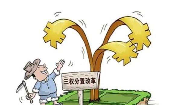 宅基地三权分置试点有哪些地方