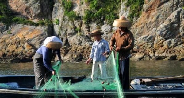 捉鱼经验谈：捉泥鳅的几种方法和技巧