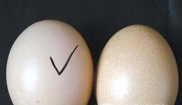 揭秘假鸡蛋制作全过程,如何辨别真假鸡蛋