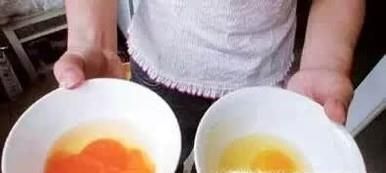 揭秘假鸡蛋制作全过程,如何辨别真假鸡蛋