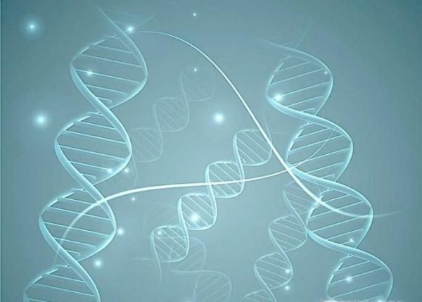 为什么双胞胎外貌都非常相似