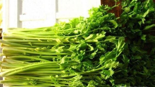 春节喝醉了如何快速解酒？30种常用解酒方法