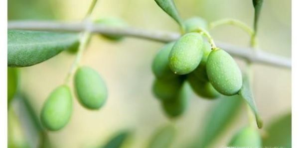 春节喝醉了如何快速解酒？30种常用解酒方法