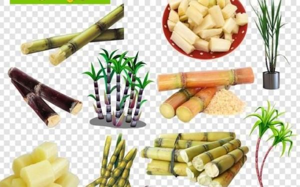 春节喝醉了如何快速解酒？30种常用解酒方法