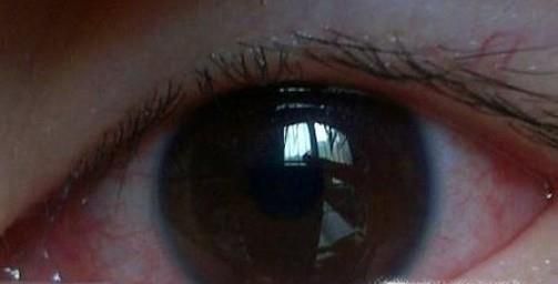 隔夜的茶叶水有哪些妙用？