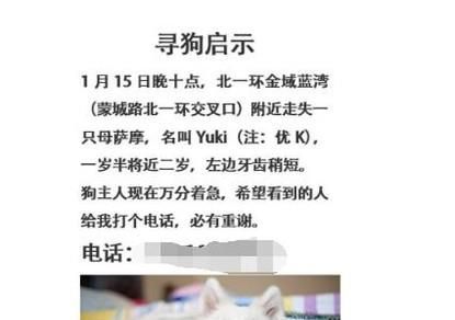 狗狗被偷了怎么办