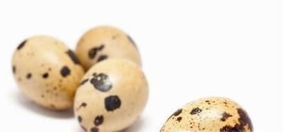 怎样挑选鹌鹑蛋