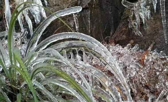 寒潮的危害有哪些