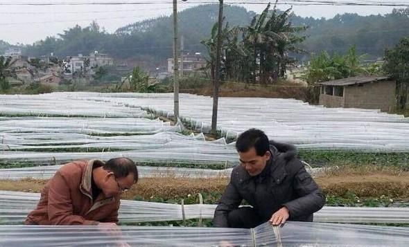 寒潮的危害有哪些