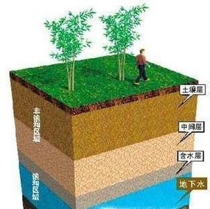 融雪盐会对道路两侧的土壤造成哪些影响