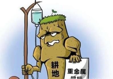 土壤污染有什么特点