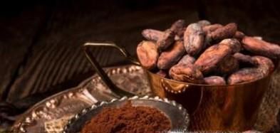 圣诞节送女生什么礼物好 精选