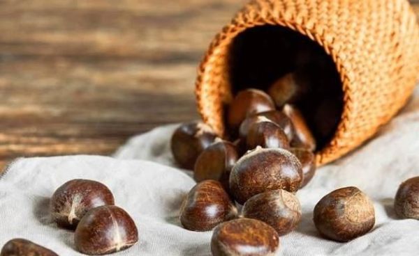 板栗的6大功效