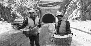 如何看待融雪盐被盗现象