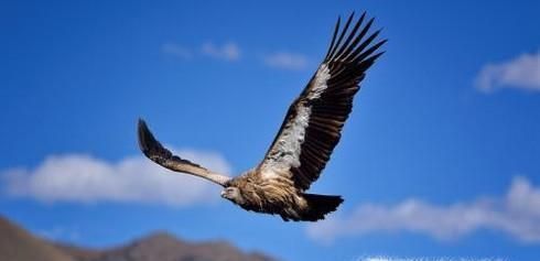 做人的五个道理都是什么？