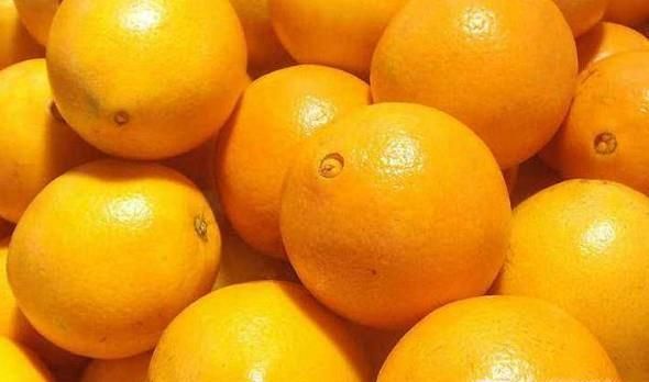 橙子怎么分公母