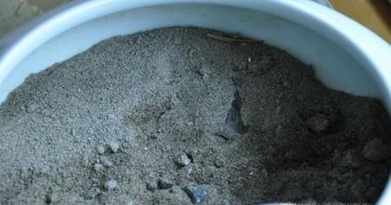 乌龟冬眠怎么养