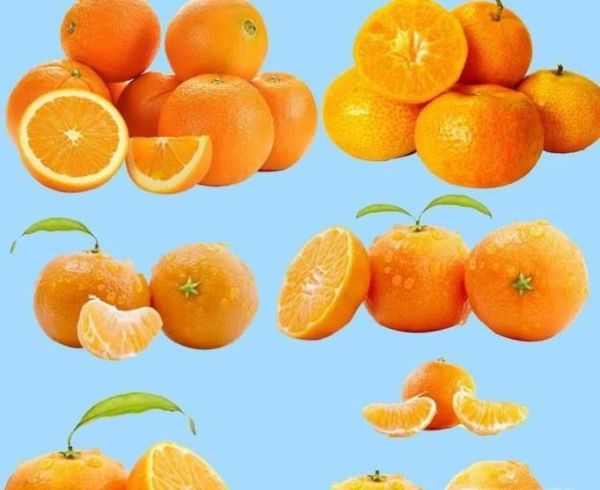 冬季吃橙子有哪些好处?冬季吃橙5大好处