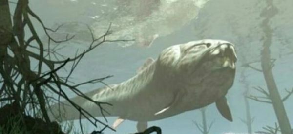 盗墓的人真的会遇到很多奇怪的事情吗,盗墓的人为什么活不久