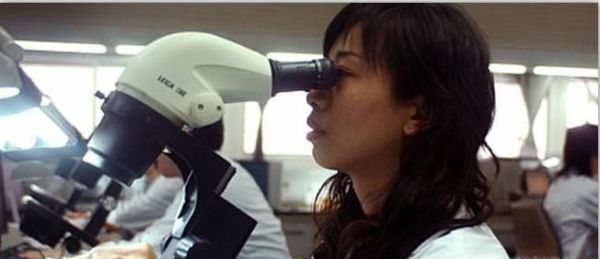 什么地方可以鉴定琥珀,去哪里能鉴定琥珀的价值