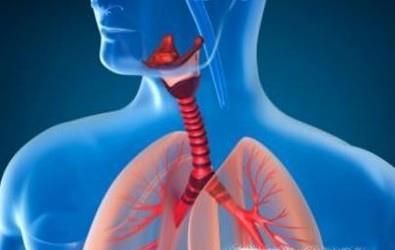 为什么盗墓的人活得短,盗墓人却有去无回真相