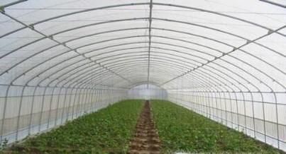 怎样让花草树木好好过冬？花草树木过冬用什么方法