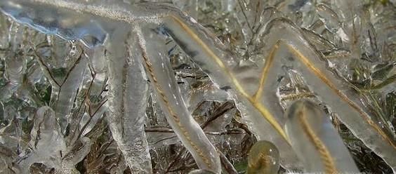 有哪些由冰凌形成的奇观，冰凌是怎么形成的