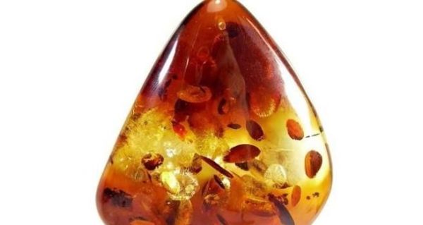 琥珀的在我国的产地有哪些