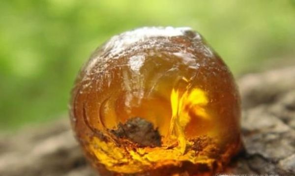琥珀的在我国的产地有哪些