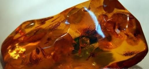 琥珀的在我国的产地有哪些