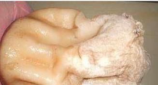 太岁的使用方法及功效