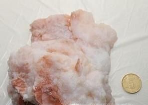 野生太岁肉灵芝有什么作用和用途