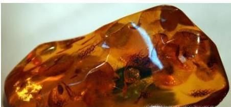 琥珀为什么这么贵