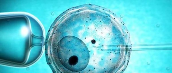 做试管婴儿预算是多少