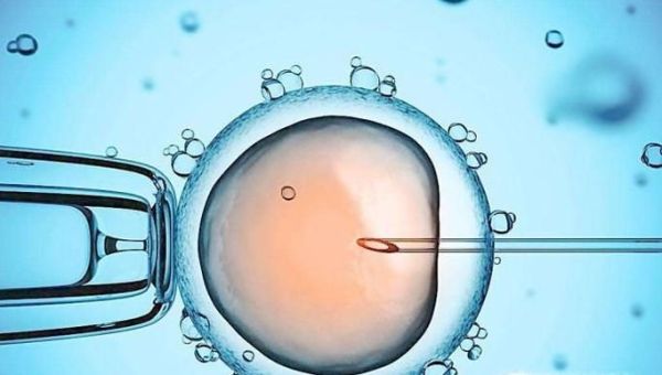 做试管婴儿预算是多少