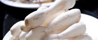 鸡腿菇与杏鲍菇的区别