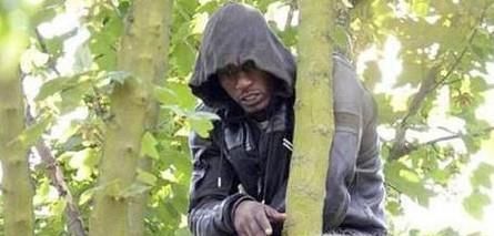 野外遇到野猪如何自救？