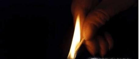 野外遇到野猪如何自救？