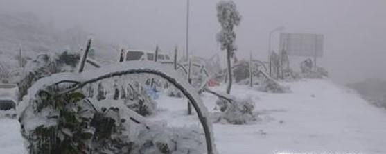 大降雪会带来哪些自然灾害