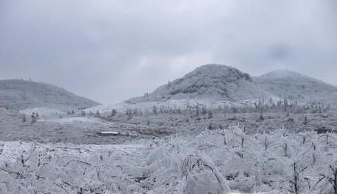 大降雪会带来哪些自然灾害