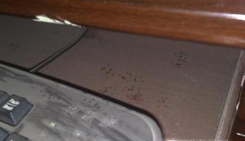 家中有老鼠的几个迹象